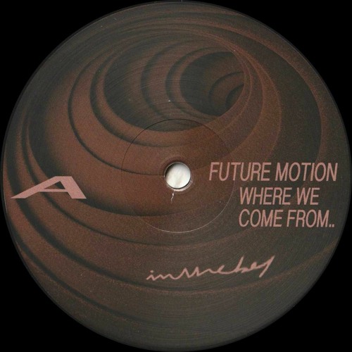 Future Motion - Where We Come From : 12inch