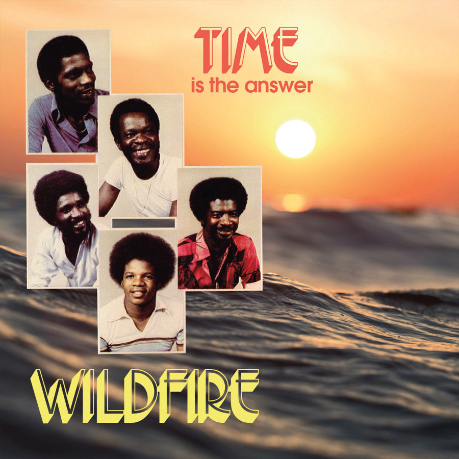 WILDFIRE - Time Is The Answer : LP