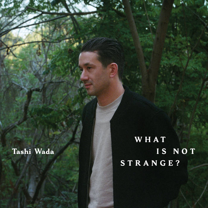 Tashi Wada - What Is Not Strange? : 2LP