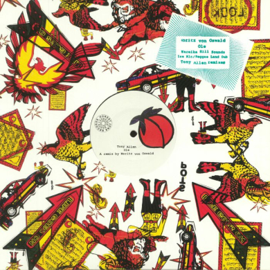 Moritz von Oswald Trio レコード 2枚組 入手困難盤 Moritz von Oswald Trio レコード 2枚組 入手困難盤オンライン