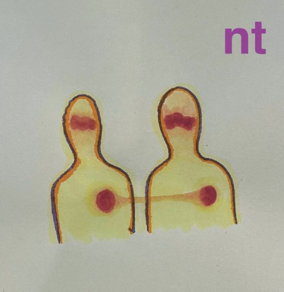 Nt - NT : 12inch