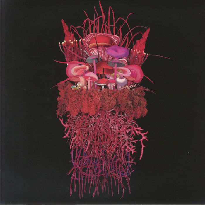 Brian D'Souza / Or:La Featuring RóIsíN Berkeley - Mycorrhizal Fungi : LP