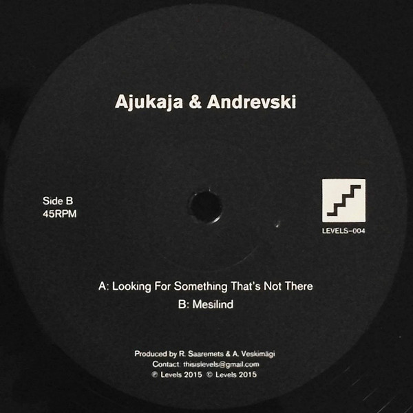 Ajukaja & Andrevski - Looking For Something That’s Not There / Mesilind : 12inch
