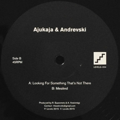 Ajukaja & Andrevski - Looking For Something That's Not There