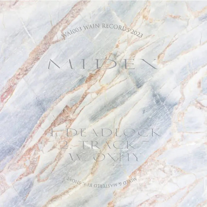 Midex - Malfeasense : 12inch