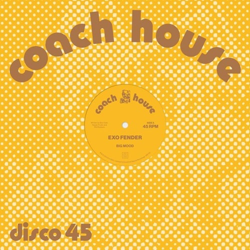 Exo Fender - Big Mood (feat Justin Van Der Volgen edit) : 12inch