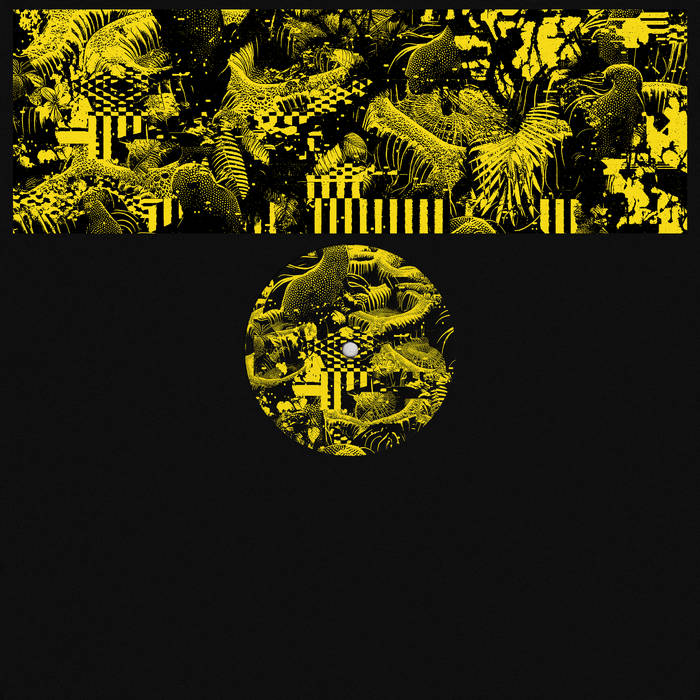 Shjva - WAR1209 : 12inch