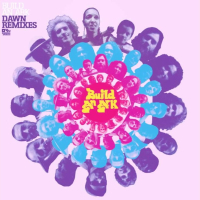 Build An Ark - Dawn Remixes