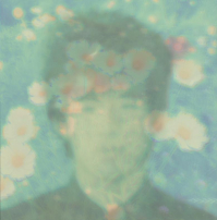 Love Wonderland - The Best Twilights of (LP)