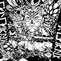 Ben Pest × Kursa - Hide Rate