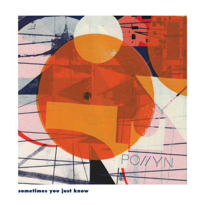 Pollyn - Sometimes You Just Know : 12inch