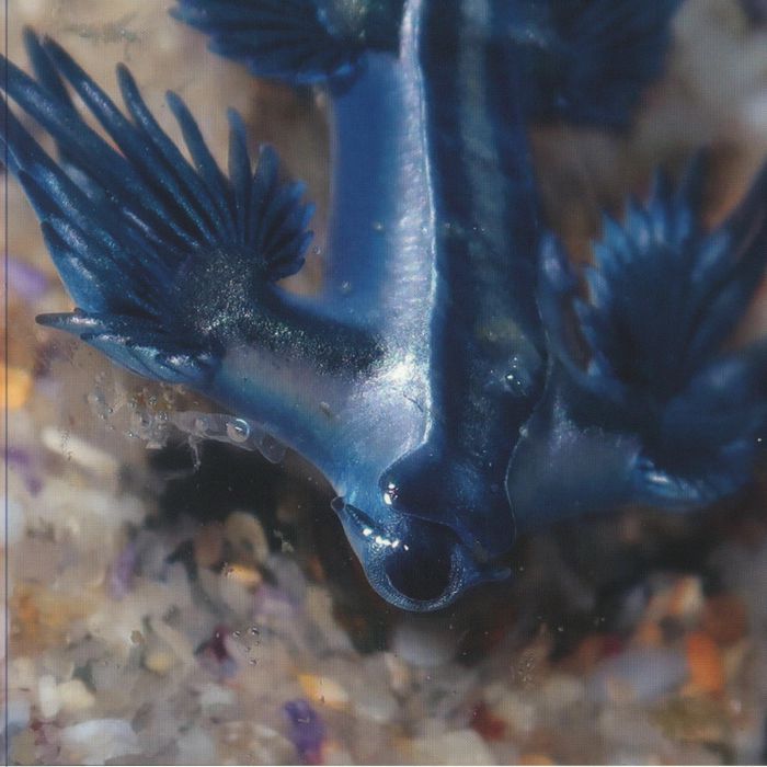 Alessandro Adriani - Four Tracks : 12inch
