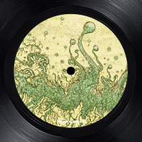 Hedge Maze - Riding The Wave EP