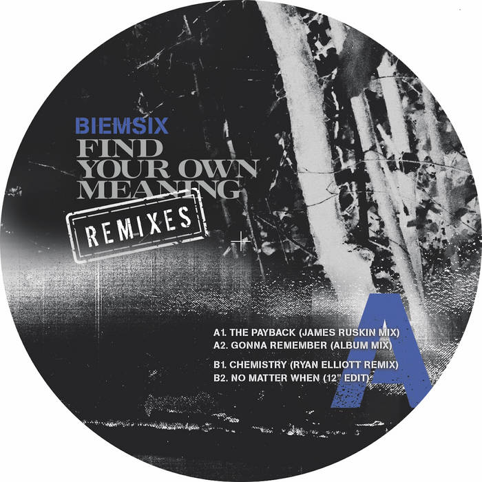 Biemsix - Find Your Own Meaning (Remixes) : 12inch