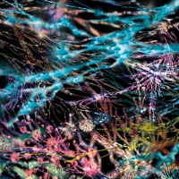 Lcsm (Likwid Continual Space Motion) - The Remedy