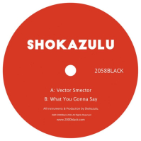 Shokazulu - Vector Smector / What You Gonna Say