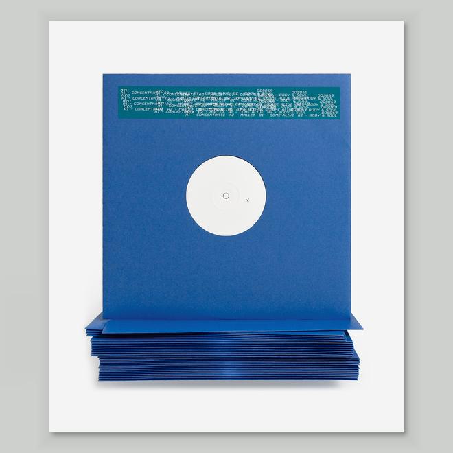 NZO - Concentrate : 12inch