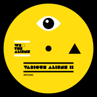 VARIOUS - Boronas,Snad,BÃ¤rtaub,Mountain People,Nesta - Various Aliens II