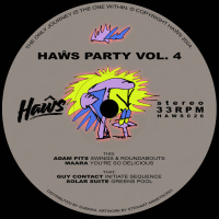 Various Artists - Haŵs Party Vol. 4
