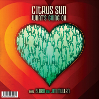 Citrus Sun - What's Going On