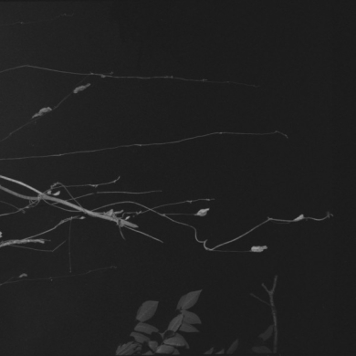 Eiko Ishibashi / Jim O'Rourke / Tatsuhisa Yamamoto - Sakuraza