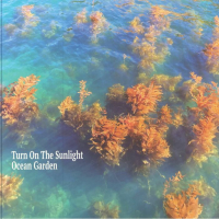 TURN ON THE SUNLIGHT - Ocean Garden