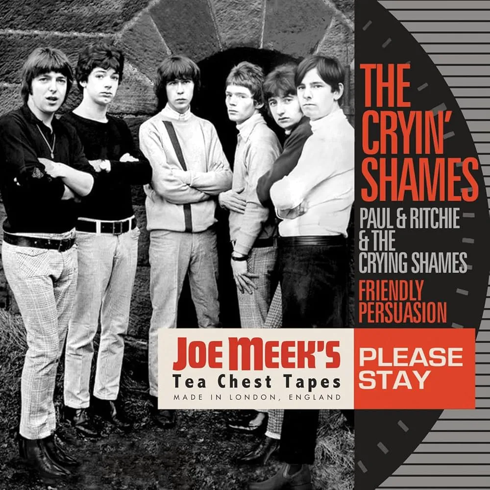 The Cryin' Shames - Please Stay : LP