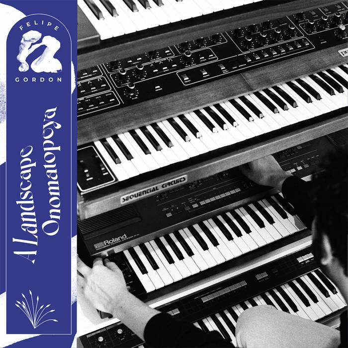 Felipe Gordon - A Landscape Onomatopeya : 2LP