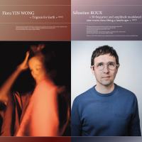 Flora Yin Wong / SÉBASTIEN ROUX - 50 frequency and amplitude modulated sine waves describing a landscape / Trigram for Earth