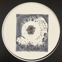 Reggie Dokes / Red D - Between Worlds / In The Sound