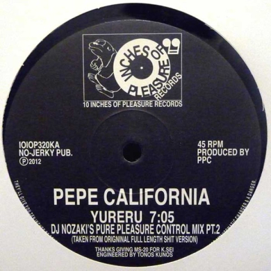 V.A./DJPL 13レコードLPオムニバスリミックス集プロモ盤激レア Pepe California - Yureru(DJ NOZAKI's Pure Pleasure Control Mix Pt