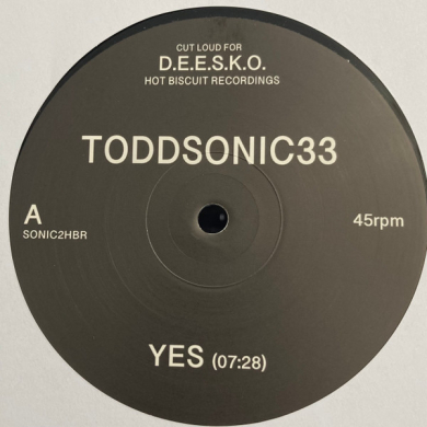 Toddsonic33 - Yes EP | NEWTONE RECORDS