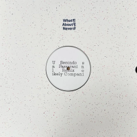 Secondo - Unlikely Companions (feat. Marco Passarani remix)