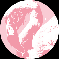 Dan Piu - Collage of Memories EP
