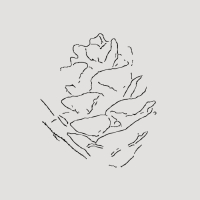Kikuchi Keisuke - Inspiro