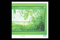 Nikolaienko - Nostalgia Por Mesozo​́​Ica (Riso Printed Cover Sleeve)