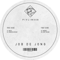 Job de Jong - PIV LIMITED