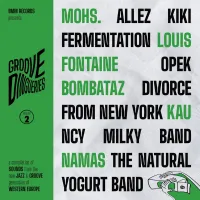 VA - Groove Dingueries Vol. 2