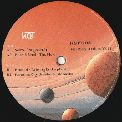Various Artists - Various Artists Vol. 1 | NEWTONE RECORDS