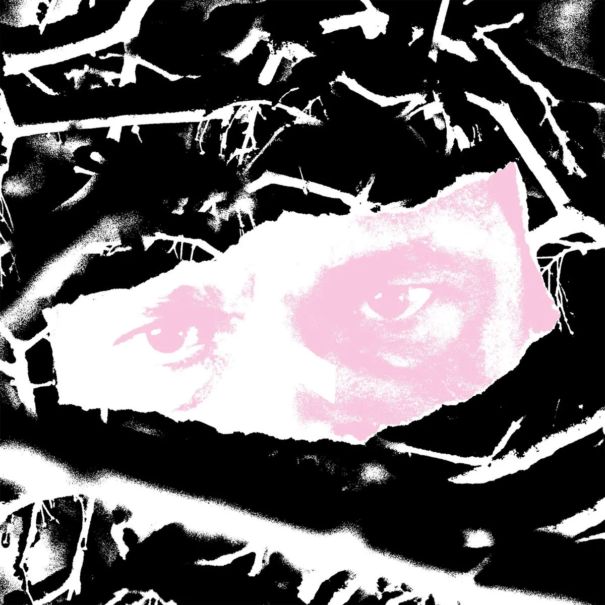 Biome - Fargo EP : 12inch
