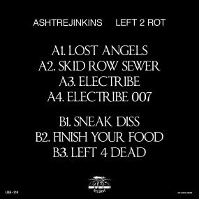 Ashtrejinkins - Left 2 Rot : LP