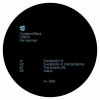 Per Hammar-Everybody Hz (inc Varhat remix)
