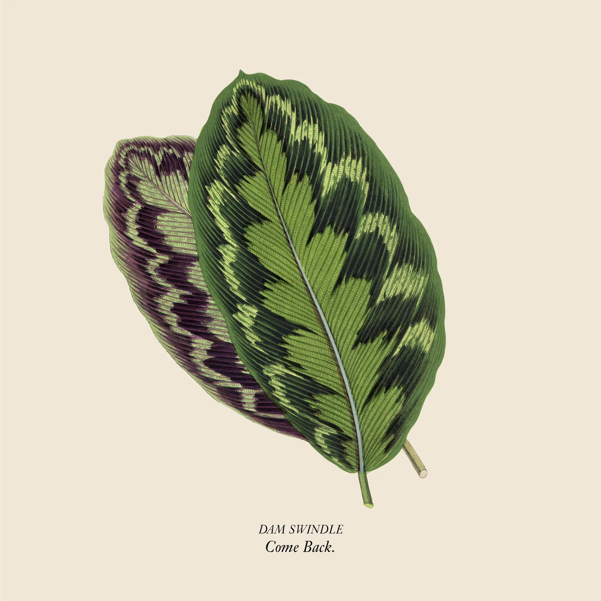 Dam Swindle - Come Back : 12inch