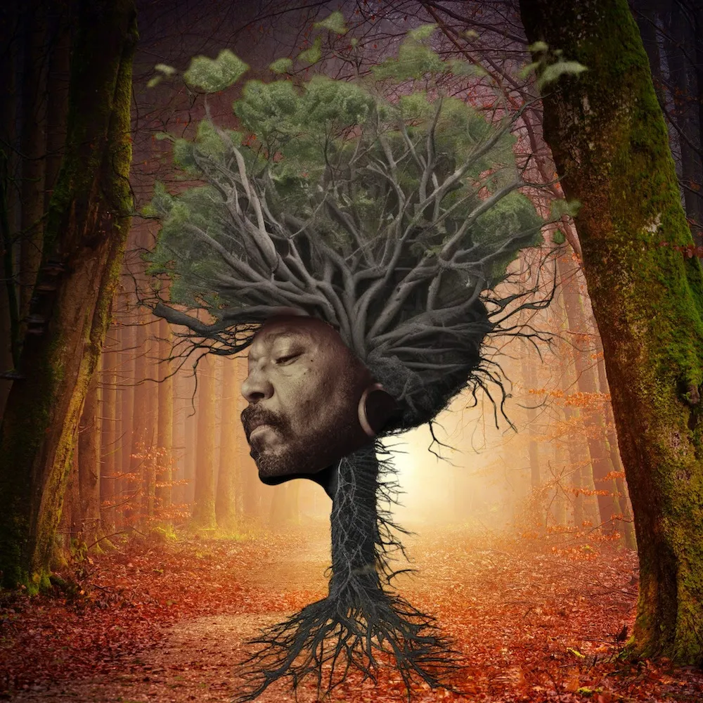 Osunlade - Inner Garden : LP