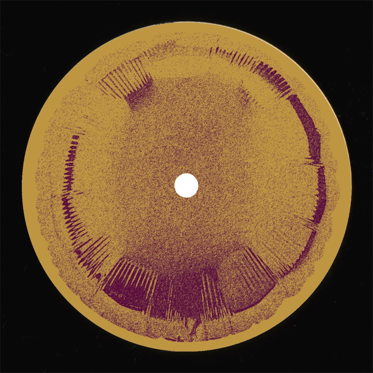 Mutual Attraction & Private Press - Ziemia 003 : 12inch