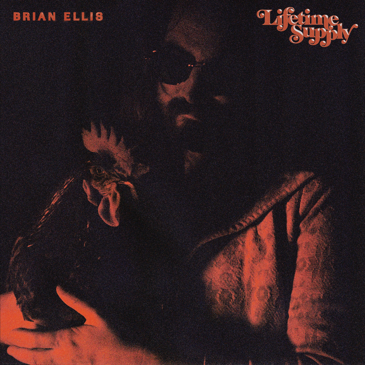 Brian Ellis - Lifetime Supply : LP