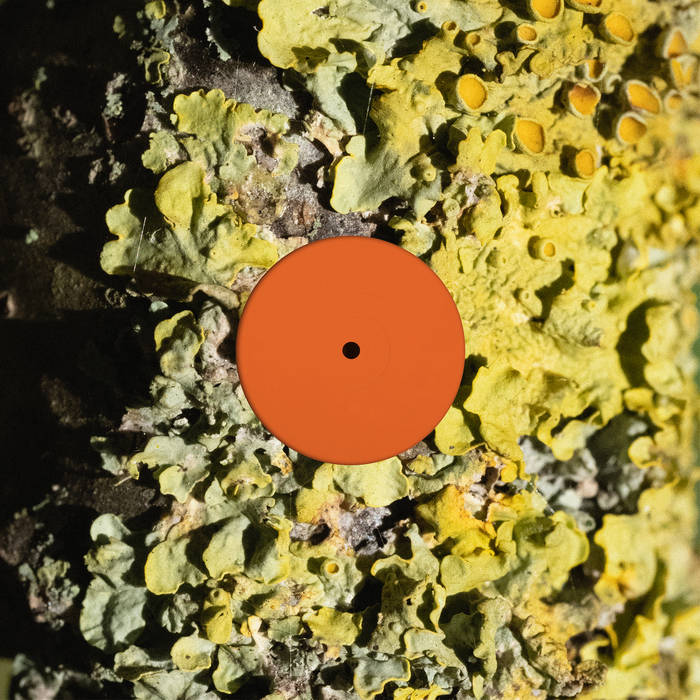 Sa Pa - The Fool : 12inch
