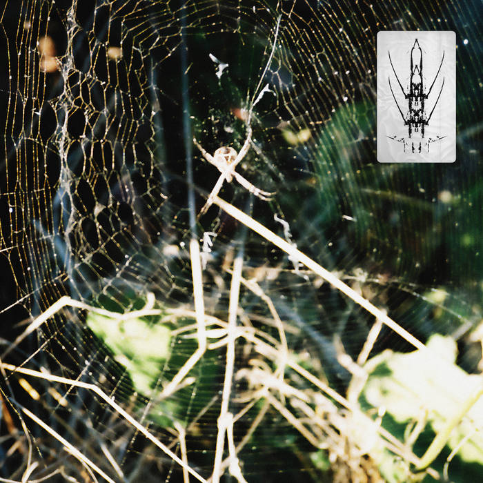 Florian Kupfer - Unmasked EP : 12inch