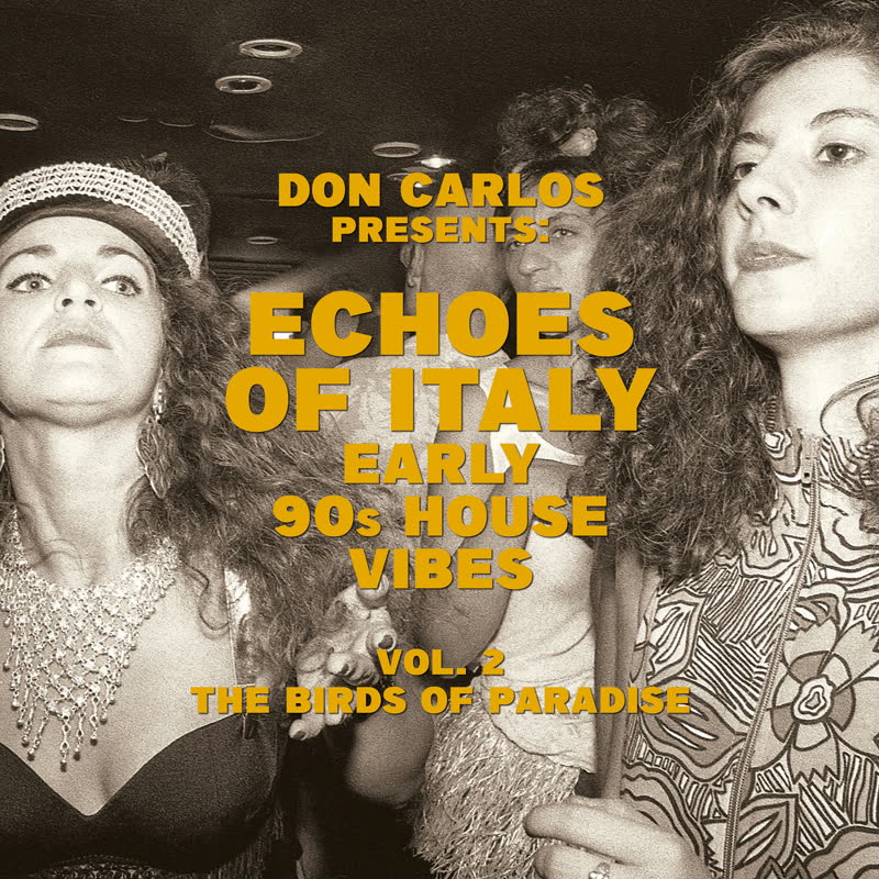 VA - Echoes Of Italy - Early 90s House Vibes Vol.2 - The Birds Of Paradise : 2LP