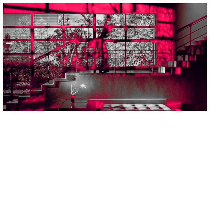 Unspecified Enemies - Romance in the Age of Adaptive Feedback : LP & Poster